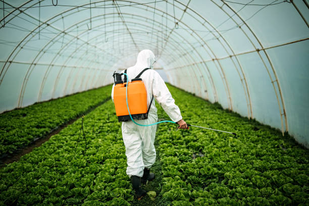 Best Best Pest Control Near Me  in Forest Hills, PA