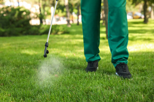 Best Local Pest Control Services  in Forest Hills, PA