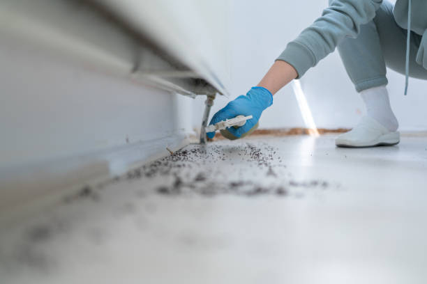Bird Control in Forest Hills, PA